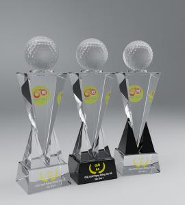 cúp golf 96 (3)